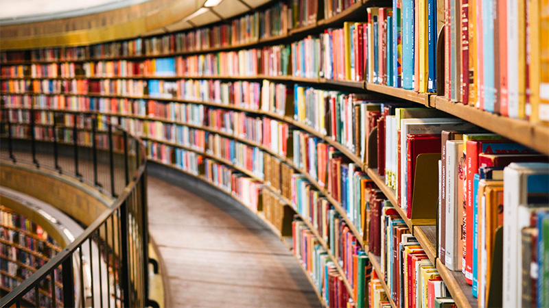 You don’t have to burn books to destroy a culture. Just get people to stop reading them. – Ray Bradbury