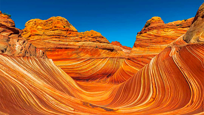 Zion National Park is a southwest Utah nature preserve distinguished by Zion Canyon’s steep red cliffs.