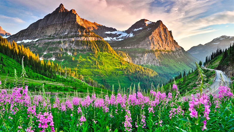 Glacier National Park is a 1,583-sq.-mi. wilderness area with glacier-carved peaks and valleys running to the Canadian border.